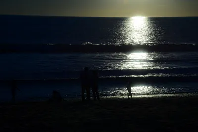 DSC_1207 (Large).JPG